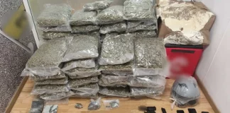 Αττική: Συνελήφθη 25χρονος για κατοχή και διακίνηση κάνναβης και κοκαΐνης – Κατασχέθηκαν αεροβόλο πιστόλι και 4.975 ευρώ