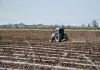 Προς νέο ναυάγιο οι πληρωμές αγροτών τον Ιούνιο