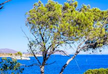 Απάτες με βίλες στα ελληνικά νησιά – Έδωσαν 3.500 ευρώ για σπίτι στην Άνδρο