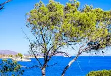 Απάτες με βίλες στα ελληνικά νησιά – Έδωσαν 3.500 ευρώ για σπίτι στην Άνδρο