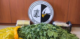 Ηράκλειο: Φυτεία κάνναβης, καλάσνικοφ και δύο συλλήψεις έπειτα από επιχείρηση της ΕΛ.ΑΣ