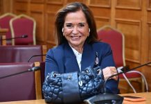 Μπακογιάννη: Αλαζόνας ο Τσίπρας, δεν κάνει για αρχηγός ο Ανδρουλάκης, δεν έχει πολιτικό λόγο η Καρυστιανού
