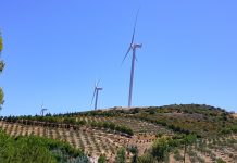 Εξαρθρώθηκε σπείρα που “ρήμαζε” αιολικά πάρκα και εγκαταστάσεις του ΔΕΔΔΗΕ σε Εύβοια και Αττική