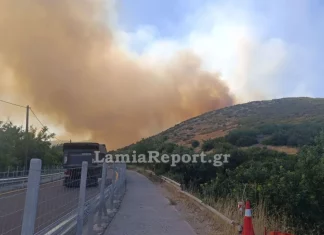 Έκλεισε η Αθηνών – Λαμίας λόγω της φωτιάς στο Ακραίφνιο Βοιωτίας: Επιχειρούν 10 αεροσκάφη και 2 ελικόπτερα