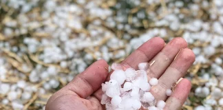 Σφοδρή χαλαζόπτωση έπληξε τα Ιωάννινα: Mεγάλες ζημιές σε αμπελώνες στη Ζίτσα