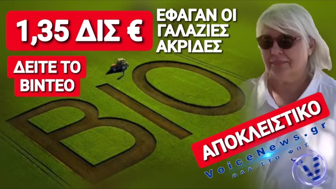 eikona-viber-2026-06-23-12-52-06-377.jpg