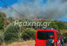 Φωτιά στην Εύβοια: Ενισχύθηκαν οι δυνάμεις της Πυροσβεστικής – Εκκενώνονται Μεσοχώρια και Ραπταίοι (VIDEO-ΦΩΤΟ)