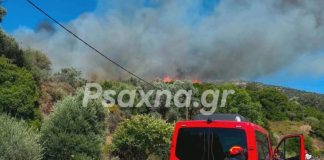 Φωτιά στην Εύβοια: Ενισχύθηκαν οι δυνάμεις της Πυροσβεστικής – Εκκενώνονται Μεσοχώρια και Ραπταίοι (VIDEO-ΦΩΤΟ)