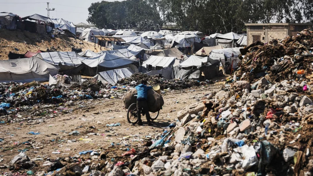 gazarefugee-mkt