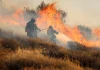 Συναγερμός για φωτιά στο Κορωπί – Καίει σε αγροτοδασική έκταση