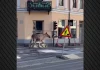 Οι Αρχές στη Νορβηγία σκότωσαν άλκη που βρέθηκε να καλπάζει στο κέντρο του Όσλο