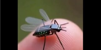 Κίνα: Ήρθε η πρώτη «μύγα-κατάσκοπος» – Μicro-drone στο μέγεθος του εντόμου αλλάζει τα δεδομένα