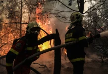 Θεσσαλονίκη: Τρεις συλλήψεις για την πυρκαγιά σε δασική έκταση του Φιλύρου