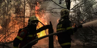 Θεσσαλονίκη: Τρεις συλλήψεις για την πυρκαγιά σε δασική έκταση του Φιλύρου