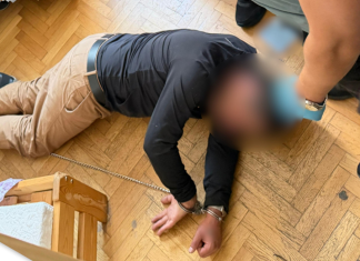 Συνελήφθη στην Πολωνία ύποπτος για τη δολοφονία του Ρώσου σκιτσογράφου που σατίριζε τον Πούτιν