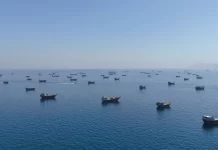 Allianz: 1.150 εμπορικά πλοία εγκλωβισμένα στον Κόλπο παρά τη συμφωνία ΗΠΑ–Ιράν