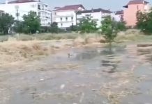 Καταιγίδα «έπνιξε» την Τρίπολη – Πλημμύρισαν σπίτια και καταστήματα