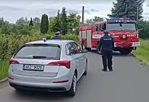 Αποτροπιασμός στην Τσεχία: 35χρονη «Μήδεια» σκότωσε νεογέννητο και το πέταξε στα σκυλιά