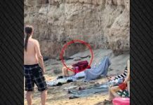 Κύπρος: Φίδια τρόμαξαν τους λουόμενους στην παραλία του Πρωταρά