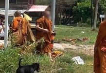 Τραγωδία στην Ταϊλάνδη: 8 βουδιστές μοναχοί νεκροί – Τους χτύπησε ανήλικος με αγροτικό φορτηγάκι