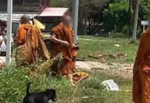 Τραγωδία στην Ταϊλάνδη: 8 βουδιστές μοναχοί νεκροί – Τους χτύπησε ανήλικος με αγροτικό φορτηγάκι