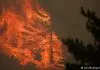 Πύρινος εφιάλτης σε Ισπανία και Γαλλία: Χιλιάδες πυροσβέστες δίνουν μάχη με τις φλόγες