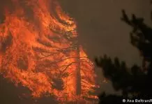 Πύρινος εφιάλτης σε Ισπανία και Γαλλία: Χιλιάδες πυροσβέστες δίνουν μάχη με τις φλόγες