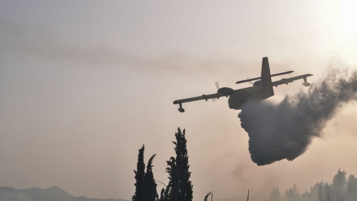 Φωτιά σε δασική έκταση στα Βασιλικά Φθιώτιδας – Σηκώθηκαν εναέρια μέσα