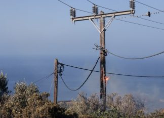 Aναβαθμίστηκε το κατηγορητήριο και ασκήθηκε δίωξη για εμπρησμό και ανθρωποκτονία στο στέλεχός του ΔΕΔΔΗΕ