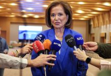 Ντόρα Μπακογιάννη: Ατυχίες