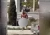 Συνελήφθη ο γυμνός τουρίστας στη Μύκονο – Τρεις αστυνομικοί χρειάστηκαν για να τον ακινητοποιήσουν