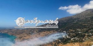 Στις φλόγες και η Άνδρος – Φωτιά σε χαμηλή βλάστηση ανάμεσα από σπίτια, μήνυμα για εκκένωση της Παλαιόπολης