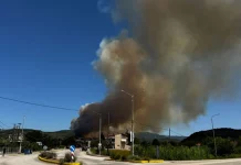 Φωτιά τώρα σε δασική έκταση στο Κομπότι Άρτας, μήνυμα του 112 για ετοιμότητα