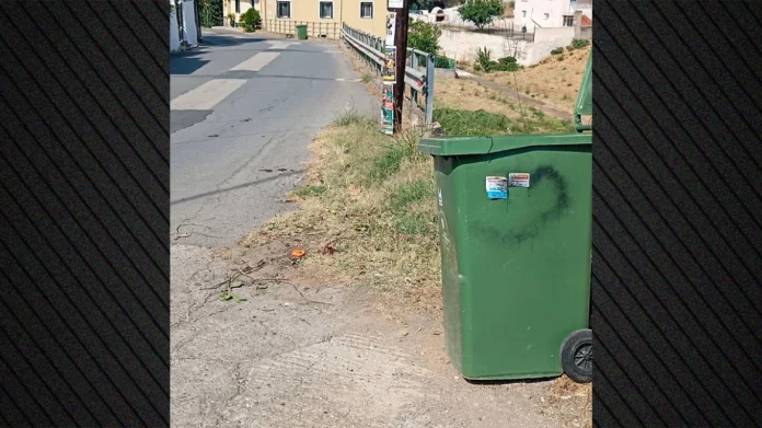 Νεκρός σκύλος με σύρμα στον λαιμό σε κάδο απορριμμάτων στο Άστρος Κυνουρίας, σκληρές εικόνες