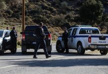 Ζωνιανά: «Απόβαση» 28 κλιμάκιων από την Αθήνα για ελέγχους σε κτηνοτροφικά μητρώα, συνοδεία 200 αστυνομικών
