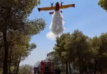 Κοντά σε σπίτια η φωτιά στη Σαλαμίνα – 90 πυροσβέστες και τρία εναέρια στη «μάχη» με τις φλόγες, ήχησε το 112