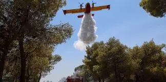 Φωτιά στην Εύβοια: Καίει χαμηλή βλάστηση στην περιοχή Κάτω Μονοκαρυά, επιχειρούν δύο αεροσκάφη