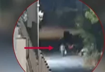Φωτιά στην Άνοιξη: Καρέ καρέ ο εμπρησμός από τον 50χρονο Αλβανό που φεύγει ατάραχος