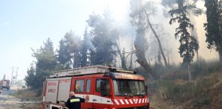Φωτιά στην Τανάγρα Βοιωτίας – Σηκώθηκαν 4 εναέρια