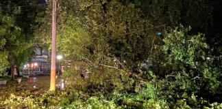 Σοβαρές ζημιές από καταιγίδα στη Δράμα: Έπεσαν δέντρα και στύλοι, πλημμύρισαν δρόμοι