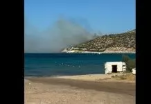 Συναγερμός στην Αττική: Φωτιά στην Κερατέα – Μήνυμα 112