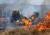 Μαίνεται η φωτιά στο Πλωμάρι της Λέσβου – Μήνυμα από το 112 για εκκένωση, ενισχύθηκαν οι δυνάμεις
