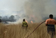 “Αντεπίθεση” ΔΕΔΔΗΕ με ανακοίνωση, για τις πυρκαγιές: Η εύκολη στοχοποίηση δεν υπηρετεί ούτε την αλήθεια ούτε την προστασία των πολιτών