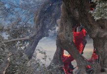 Μάχη με την πύρινη λαίλαπα σε Ρέθυμνο, Πάρο, Άνδρο και Κάλυμνο – Απανωτά 112, δραματικές διασώσεις – Ούτε μία ρίψη νερού λόγω των θυελλωδών ανέμων