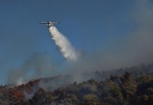 Φωτιά σε δασική έκταση στην Εύβοια, πιθανότατα προκλήθηκε μετά από πτώση κεραυνού