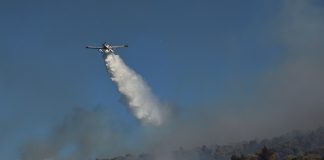 Φωτιά σε δασική έκταση στην Εύβοια, πιθανότατα προκλήθηκε μετά από πτώση κεραυνού