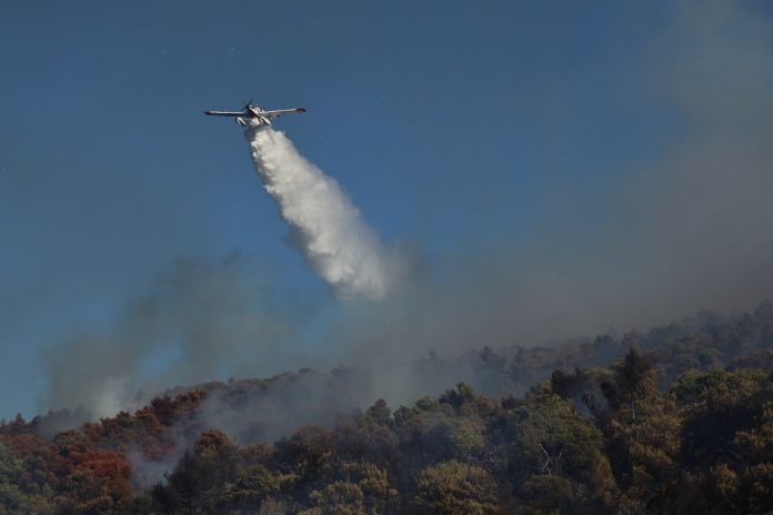 Φωτιά σε δασική έκταση στην Εύβοια, πιθανότατα προκλήθηκε μετά από πτώση κεραυνού