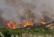 Φωτιά στη Φθιώτιδα: Μέτωπο έξι χιλιομέτρων απείλησε οικισμούς – Ζημιές σε σπίτια (VIDEO-ΦΩΤΟ)