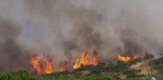 Φωτιά στη Φθιώτιδα: Μέτωπο έξι χιλιομέτρων απείλησε οικισμούς – Ζημιές σε σπίτια (VIDEO-ΦΩΤΟ)