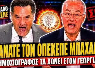 Δημοσιογράφος τα χώνει στον Άδωνη-Σπυρίδωνα και άρχισε να σκούζει: «Κάνατε τον ΟΠΕΚΕΠΕ ένα μπάχαλο»-(VIDEO)
